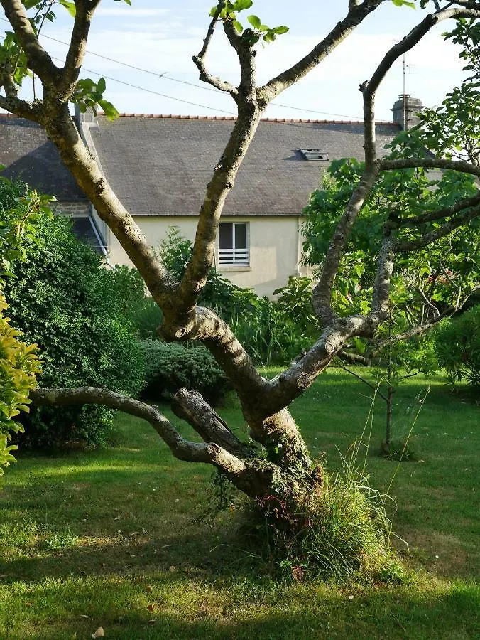 Chambres D'Hotes Kerioret Izella Kerlaz